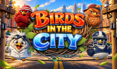 BetSoft - Birds in the City Dice